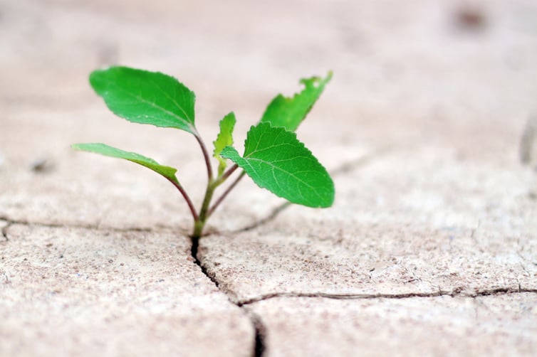 Experienced Doesn’t Always Mean Effective: Rethinking Sales Hiring in Diagnostics