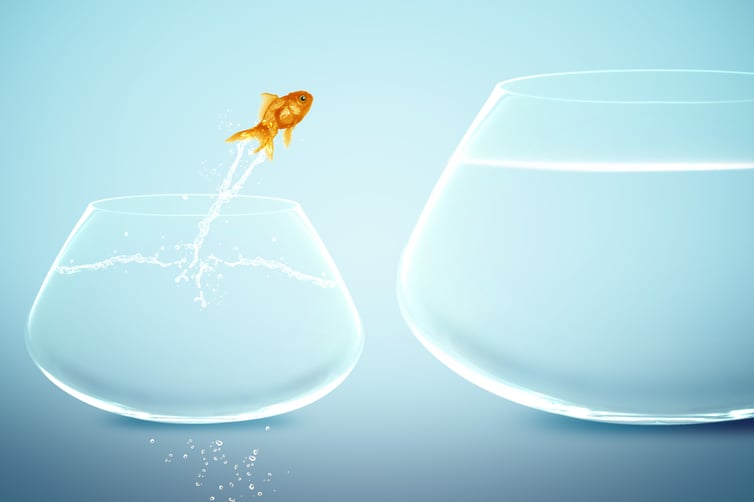 5 Tips You Should Consider When Changing Jobs